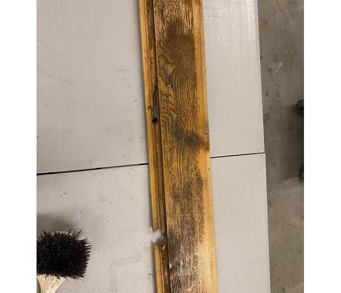 mold on wood before cleaning